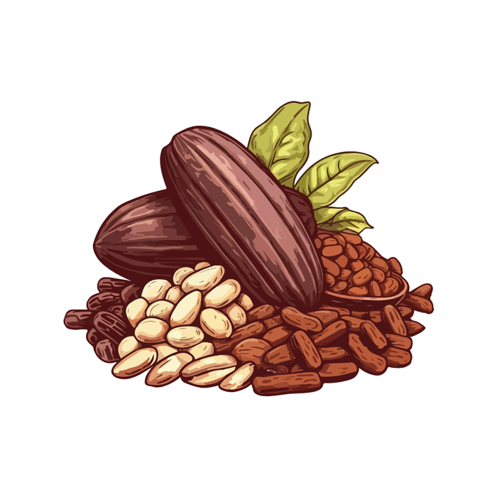 Cacao Nibs