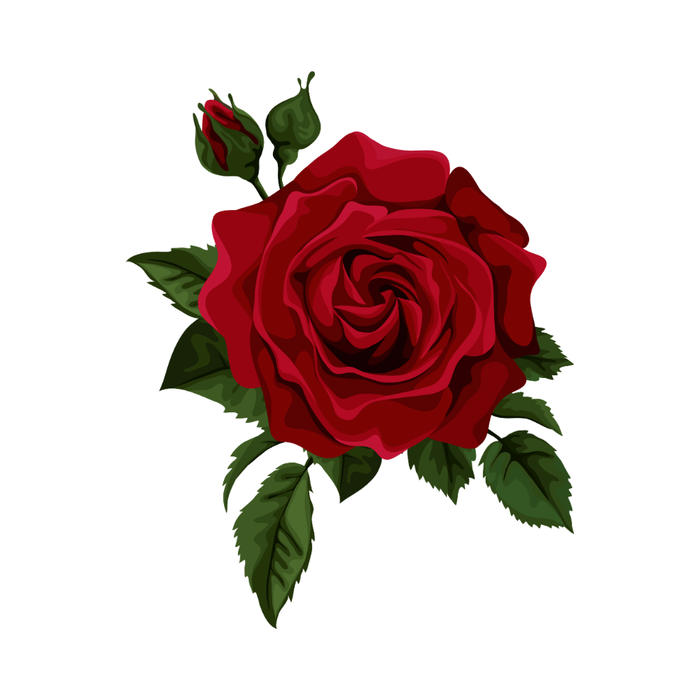 Rose Petals